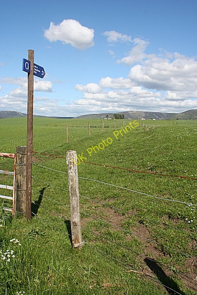 Photo 6"x4" Path to Chapeltown Clashnoir c2010