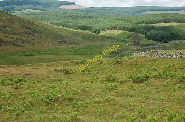 Photo 6"x4" Ancient settlement site, Meldon Burn Lyne\/NT2041 c2010