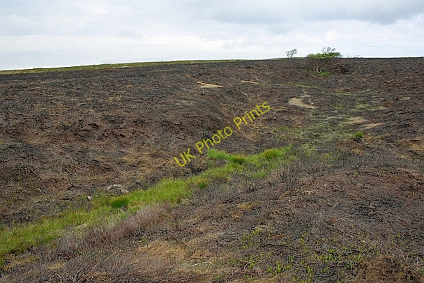Photo 6"x4" Ganister Quarry, Stony Marl Moor Ravenscar c2010