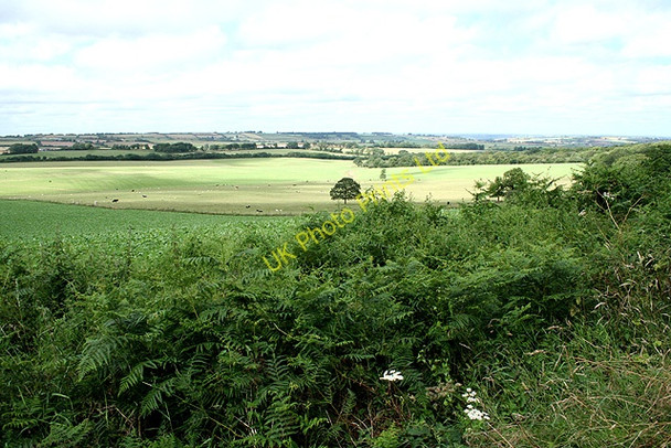 Photo 6"x4" South Tawton: Cocktree Moor North Tawton c2006