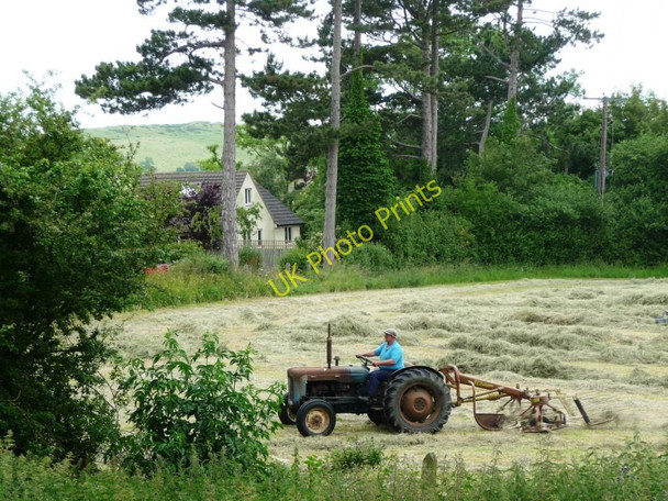 Photo 6"x4" Haymaking near Gotherington Station Gotherington c2010