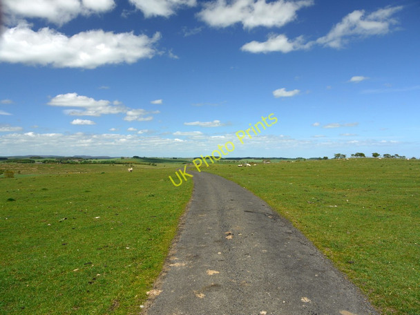 Photo 6"x4" Unfenced road between Crookdene and Northside Farms Great Bavington c2010