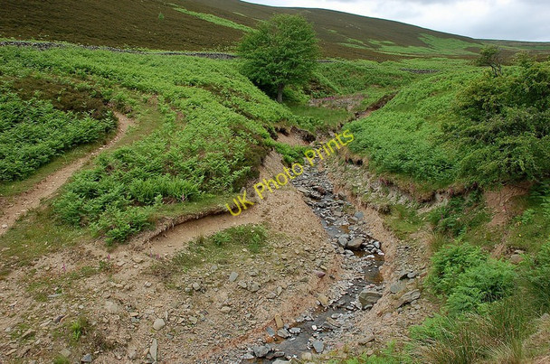 Photo 6"x4" Long Philip Burn Broadmeadows\/NT4130 c2010