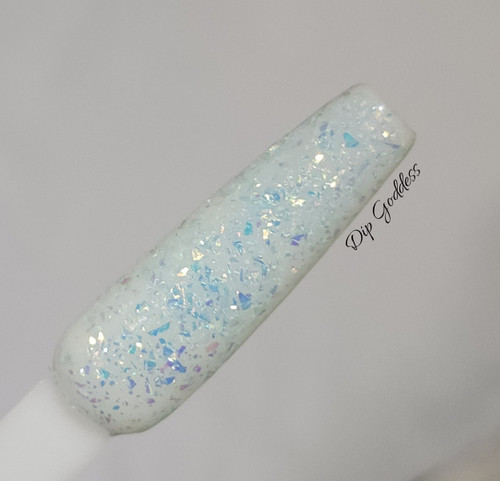 Hammerhead Shark Hammerhead Shark