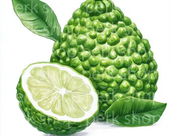 Bergamot cuticle oil
