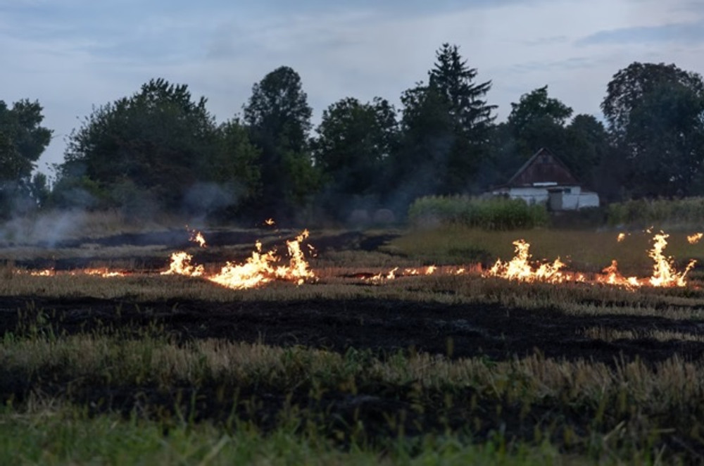 Natural Disaster Preparedness: How Brush Cutters Assist in Firebreak Creation