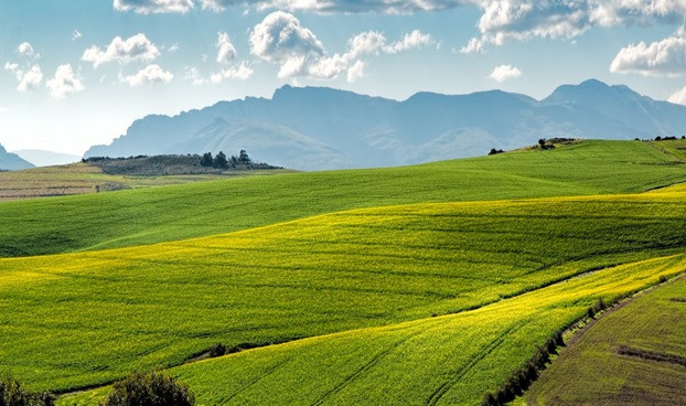 Productivity and the Modern Farmer: Equipment You Can’t Do Without in a Modern Farm