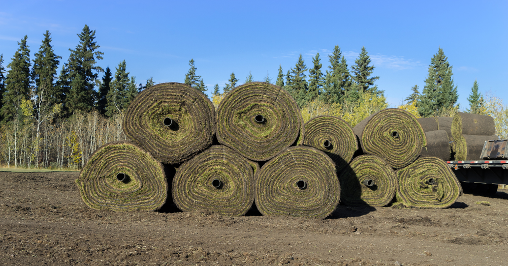 Choosing the Right Sod Roller for Your Business: Standard vs. Hydraulic Models