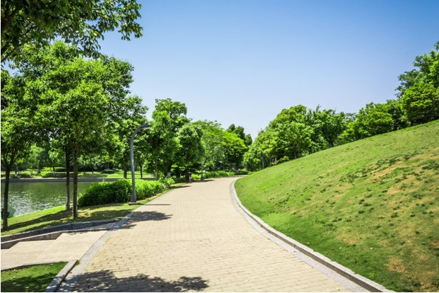 Keeping It Neat: Maintaining Parks and Recreational Areas with a 42-Wide Brush Cutter Attachment