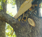 Skid Steer Limb Saw Attachment (Industrial Series) Spartan Equipment