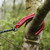 Product thumbnail view 2