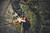 Product thumbnail view 2