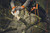 Product thumbnail view 3