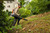 Product thumbnail view 3