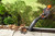 Product thumbnail view 2