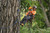Product thumbnail view 2