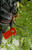 Product thumbnail view 3