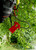 Product thumbnail view 4