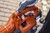 Product thumbnail view 7