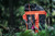Product thumbnail view 3