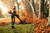 Product thumbnail view 3