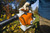 Product thumbnail view 2