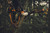 Product thumbnail view 4
