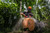 Product thumbnail view 12