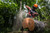 Product thumbnail view 13