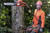 Product thumbnail view 4