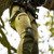 Product thumbnail view 28
