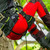 Product thumbnail view 39