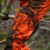 Product thumbnail view 19
