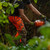 Product thumbnail view 20