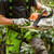 Product thumbnail view 14