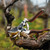 Product thumbnail view 5