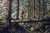 Product thumbnail view 2