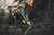 Product thumbnail view 5