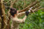 Product thumbnail view 10