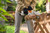 Product thumbnail view 11