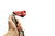 Product thumbnail view 4