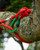 Product thumbnail view 6