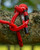 Product thumbnail view 7