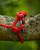 Product thumbnail view 5