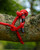 Product thumbnail view 6