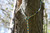 Product thumbnail view 4