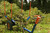 Product thumbnail view 9