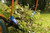 Product thumbnail view 10