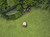 Product thumbnail view 7