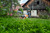 Product thumbnail view 3